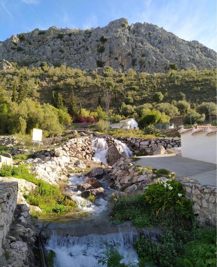 Casa De Los Alamos Periana エクステリア 写真